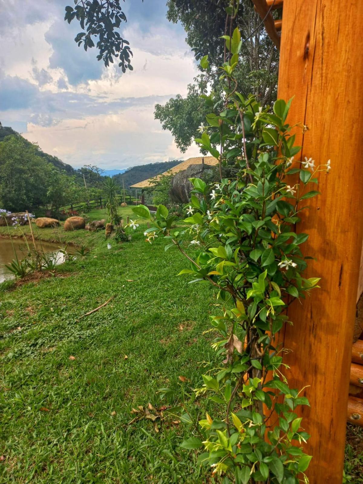 Chale Araucaria- Vale Das Pedras Mg Sapucaí-Mirim Eksteriør billede